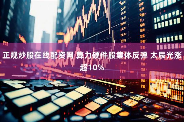 正规炒股在线配资网 算力硬件股集体反弹 太辰光涨超10%